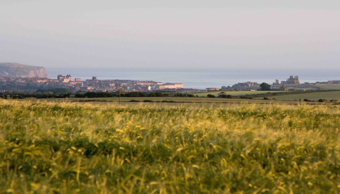 Luxury Seaview (2 Bed)