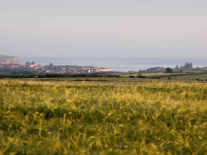 Luxury Seaview (2 Bed)