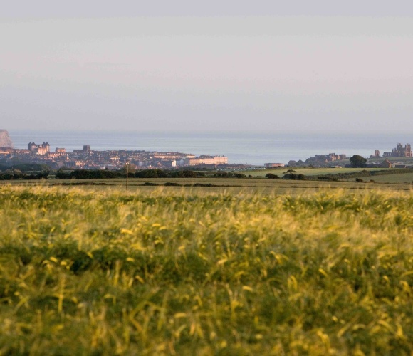 Luxury Seaview (2 Bed) image