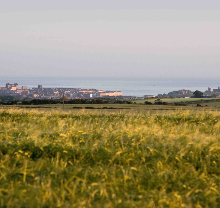 Luxury Seaview (2 Bed)