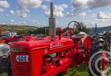Egton Show