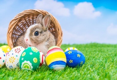 Dippy Giant Easter Craft Fair 2019