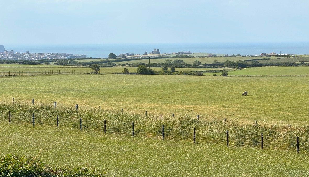 Luxury Seaview (2 Bed)