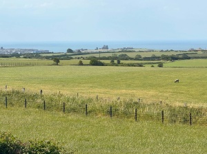 Luxury Seaview (2 Bed)