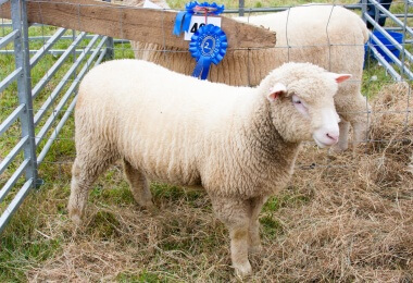 The Malton Show 2023