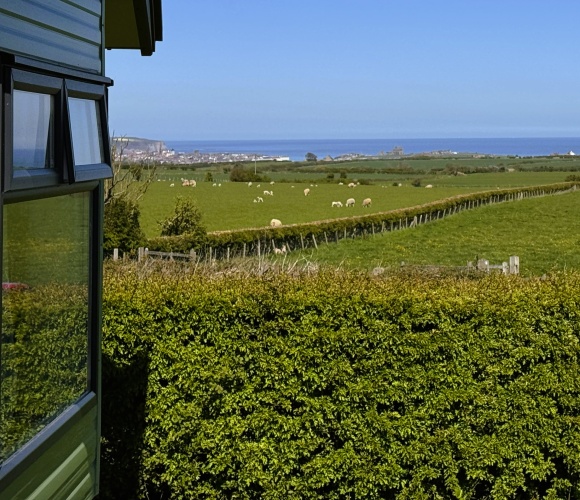 Seaview Luxury (2 Bed) image
