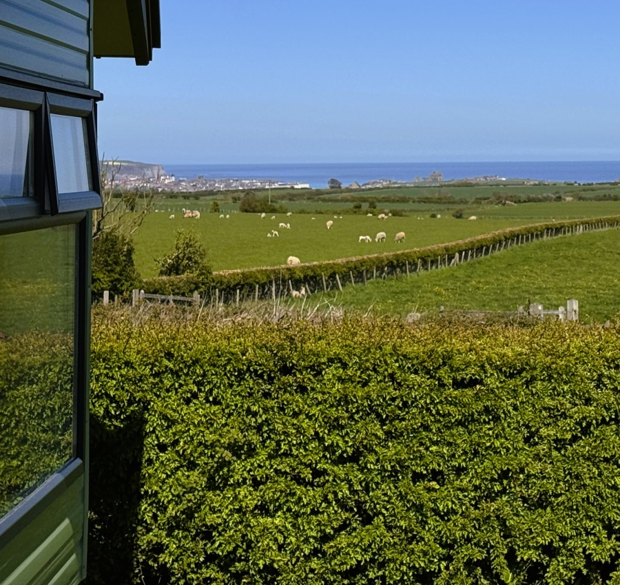 Seaview Luxury (2 Bed)