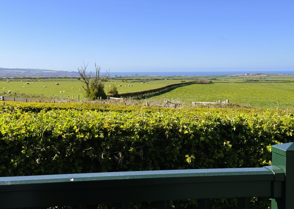 Seaview Luxury (2 Bed)