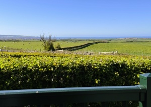 Seaview Luxury (2 Bed)
