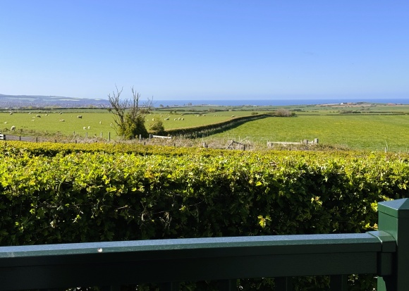 Seaview Luxury (2 Bed) image