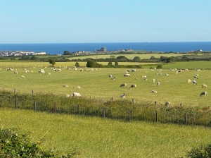 Luxury Seaview (2 Bed)