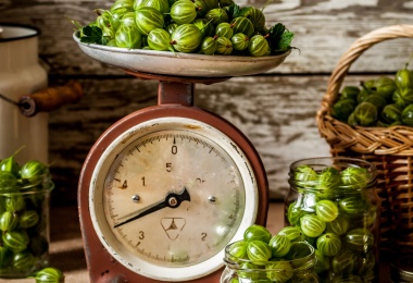 Egton Bridge Gooseberry Show 2023