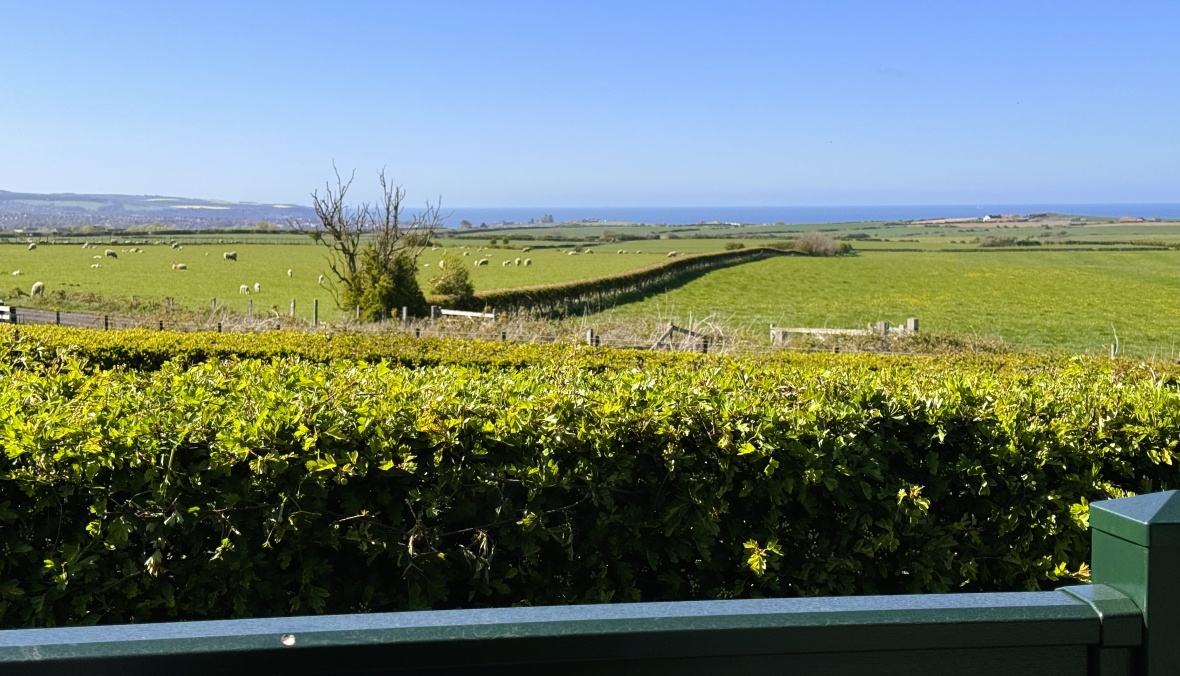 Seaview Luxury (2 Bed)