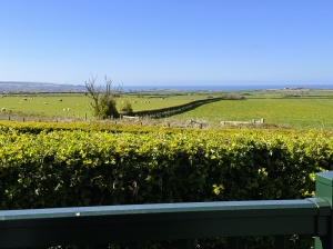 Seaview Luxury (2 Bed)