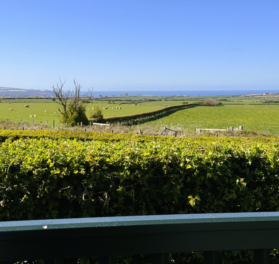 Seaview Luxury (2 Bed)