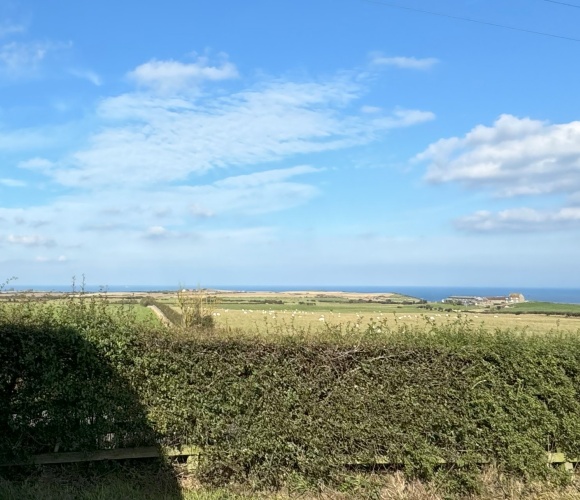 Luxury Seaview (2 Bed) image