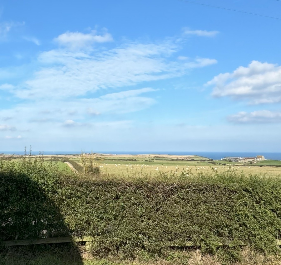 Luxury Seaview (2 Bed)