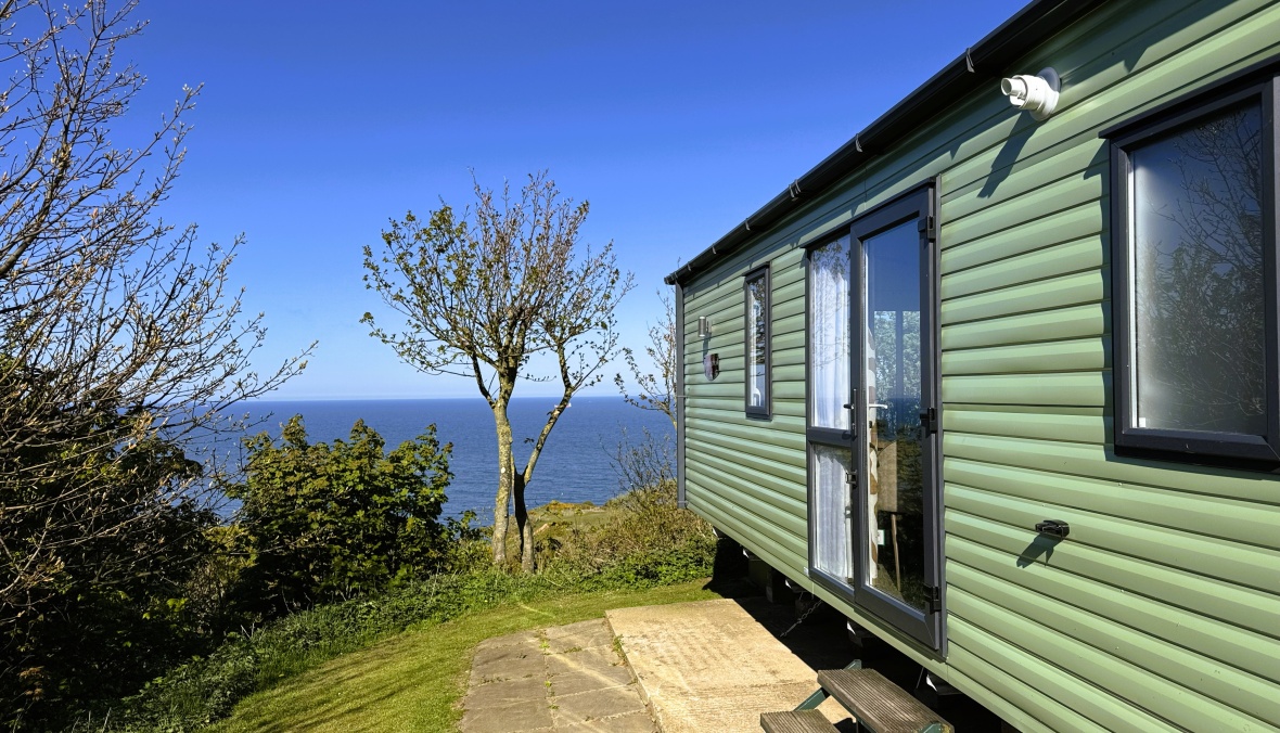 2026 Carnaby Carrington