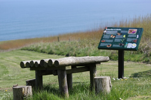 The Butterfly Garden at Northcliffe Holiday Park