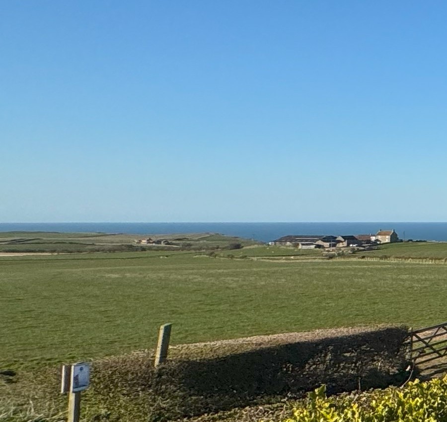 Super Seaview Luxury (2 Bed)