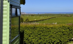 Seaview Luxury (2 Bed)