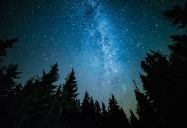 Star Gazing Night
